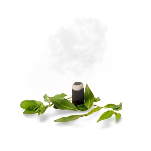 Instant Herbal Dhoop (20 Stk). Mit Keuschheit, Tulsi und Neem. Instant Herbal Dhoop (20 Stk). Mit Keuschheit, Tulsi und Neem.