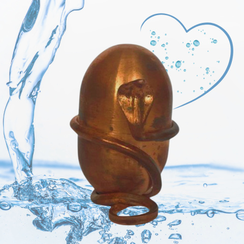Jeevarasam Geweihtes Wasser ISHA Jeevarasam Geweihtes Wasser ISHA